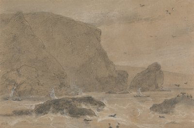 Rochedo de funcho-marinho, St. Agnes, Cornualha de William Daniell