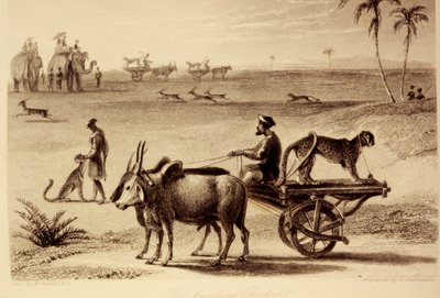 As chitas da caça de William Daniell