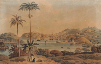 Vista da cidade de St. George e Richmond Heights na ilha de Granada, tirada da Baía pelo tenente-coronel Wilson, 1819 de William Daniell