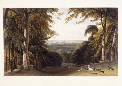 Castelo de Windsor do Deer Park, c.1827-1829 de William Daniell
