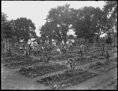 Crianças trabalhando no jardim da escola em Isham Park, Nova York, 5 de agosto de 1914 de William Davis Hassler