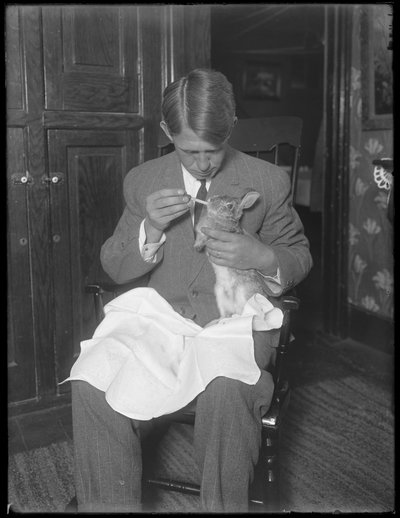 James H. Hassler alimentando um coelho, c.1912 de William Davis Hassler
