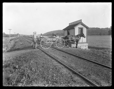 Homem não identificado, carregando, leite, ligado, para, horse-drawn, carreta, estacionado, sobre, trilhas ferrovia, exterior, a, McCready, fazenda, pensilvânia, c.1913 de William Davis Hassler