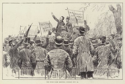 O Hyde Park Meeting, domingo, 20 de novembro de William Douglas Almond