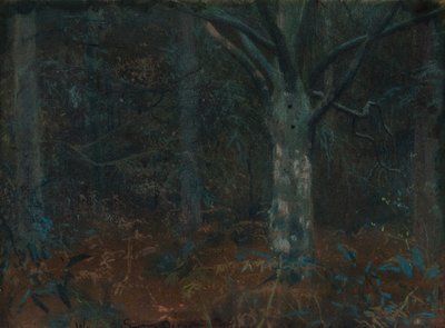 Velho sicômoro de William Edward Stott