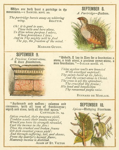 Página do Livro de Aniversário do Emblema da Bíblia (litografia a cores) de William Foster