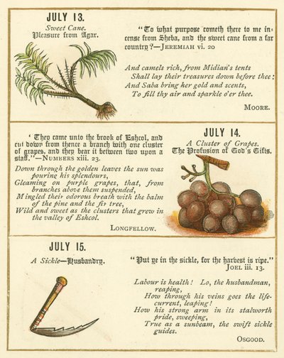 Página do Livro de Aniversário do Emblema da Bíblia (litografia a cores) de William Foster