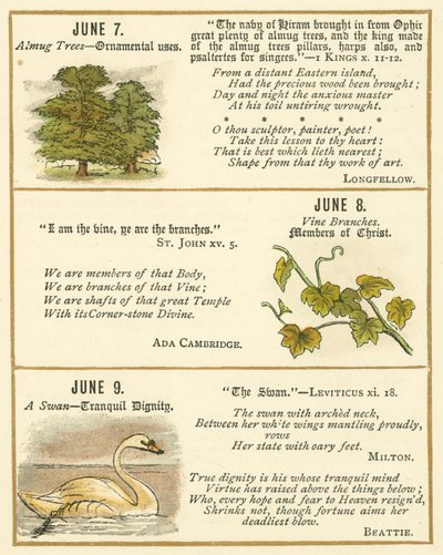 Página do Livro de Aniversário do Emblema da Bíblia (litografia a cores) de William Foster