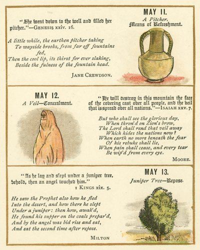 Página do Livro de Aniversário do Emblema da Bíblia (litografia a cores) de William Foster