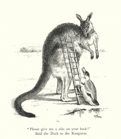 O Pato e o Canguru (gravura) de William Foster