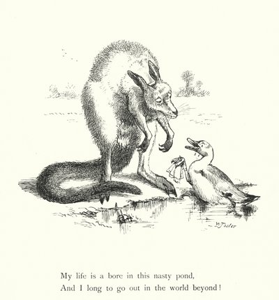 O Pato e o Canguru (gravura) de William Foster