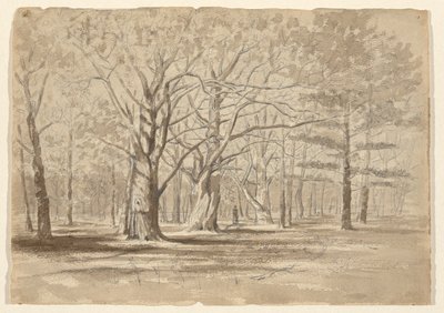 Bosques da faculdade de William Fowler Hopson