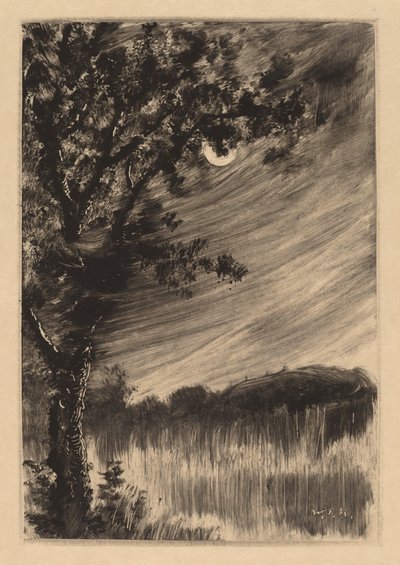Paisagem enluarada com árvore à esquerda de William Fowler Hopson