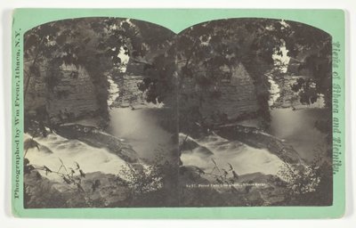 Forest Falls from above, Ithaca Gorge, final do século XIX. de William Frear