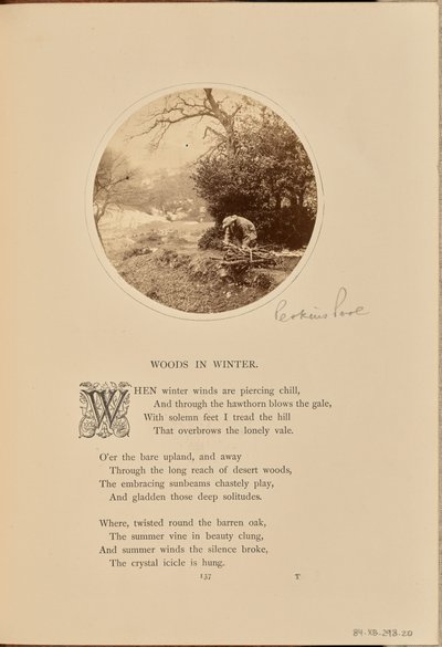 [Um homem a apanhar lenha, Inglaterra]. de William Grundy