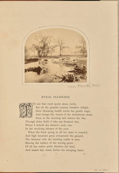 [Cena pastoral com gado num campo inundado, Inglaterra] de William Grundy