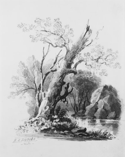 Forest Grove, . de William Guy Wall
