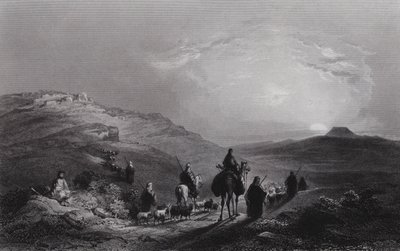 Tekoa de William H. Bartlett