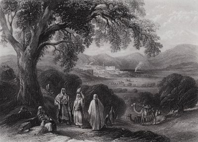 Vale de Nazaré (gravura) de William H. Bartlett