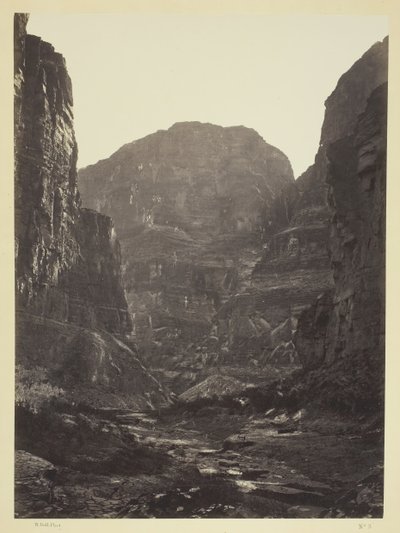 Cañon de Kanab Wash, Rio Colorado, Looking South, 1872. de William H. Bell