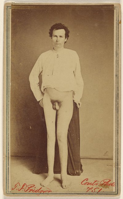 T.F. Pridgeon [vítima da Guerra Civil] de William H. Bell