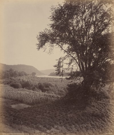 A pitoresca Susquehanna, perto de Laceyville de William H. Rau