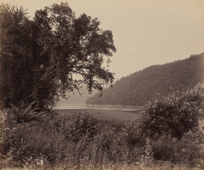O Susquehanna perto de Wyalusing de William H. Rau