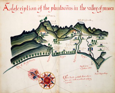Descrição das plantações do Vale do Paneca de William Hack
