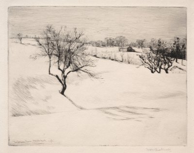 A Fazenda Encosta de William Harry Warren Bicknell