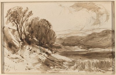 Paisagem montanhosa com árvores de William Hart