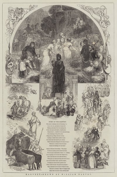 Colheita de William Harvey