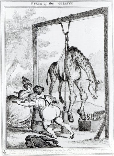 Estado da girafa, 1829 de William Heath
