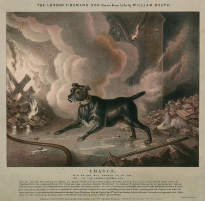 O cão do bombeiro de Londres de William Heath