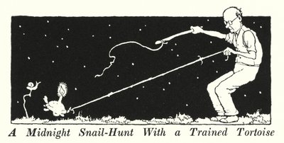 Uma Caça ao Caracol da Meia-Noite com uma Tartaruga Treinada (litho) de William Heath Robinson