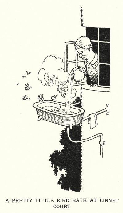 Um Banho de Pássaro Bonitinho na Linnet Court (litho) de William Heath Robinson