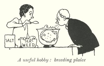 Um hobby útil, a criação de solha (litho) de William Heath Robinson
