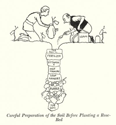 Preparação cuidadosa do solo antes de plantar um leito de rosas (litho) de William Heath Robinson