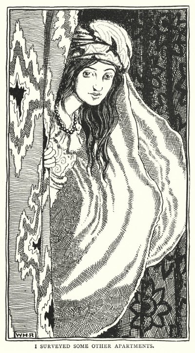 Eu pesquisei alguns outros apartamentos (gravura) de William Heath Robinson