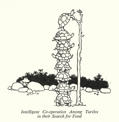 Cooperação inteligente entre tartarugas em sua busca por alimentos (litho) de William Heath Robinson
