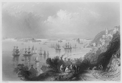 Cove Harbour, no Queenstown Harbour (gravura) de William Henry (after) Bartlett