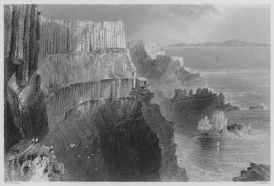Pleaskin Cliff, perto da Giants Causeway, Country Antrim (gravura) de William Henry (after) Bartlett