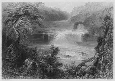 Salto de Salmão em Leixlip (gravura) de William Henry (after) Bartlett