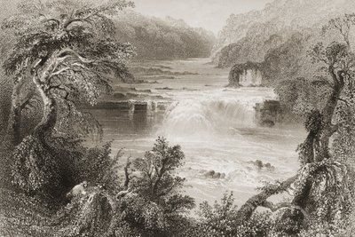 Salmão Salto em Leixlip, Condado de Kildare, de &39;Cenário e antiguidades da Irlanda&39; por George Virtue, de 1860 de William Henry Bartlett