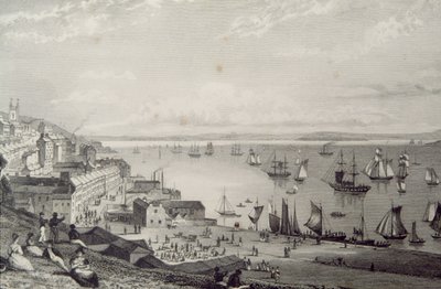 Vista, de, cobh, porto, olhar, Rostellan, município cortiça, irlanda, em, a, 1830s, de, &39;Scenery, and, antiquities, de, Ireland&39;, por, george, virtude, 1860s de William Henry Bartlett