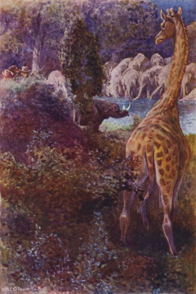 Ilustração para The Gorilla Hunters de R M Ballantyne (cor litho) de William Henry Charles Groome