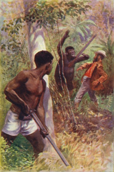 Ilustração para The Gorilla Hunters de R M Ballantyne (cor litho) de William Henry Charles Groome