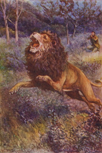 Ilustração para The Gorilla Hunters de R M Ballantyne (cor litho) de William Henry Charles Groome