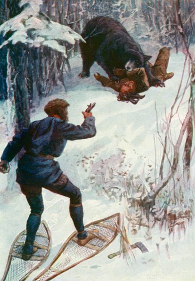 O urso estava em cima dele, segurando um dos braços na boca de William Henry Charles Groome