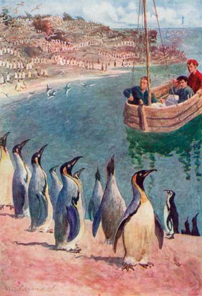 Nós olhamos para os pássaros com surpresa e prazer, eles voltando nosso olhar com interesse de William Henry Charles Groome
