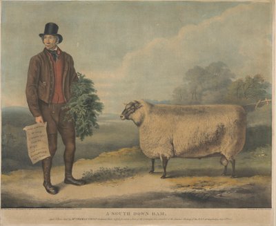 A South Down Ram; 3 anos de idade, criado pelo Sr. Thomas Crisp, Gedgrave Hall, Suffolk, pelo qual foi atribuído um prémio de 30 Severeigns na Reunião Anual do R.A.S. em Cambridge, a 15 de Julho de 1840 de William Henry Davis